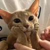tintinvanhungnguoiban