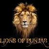 lionspunjab