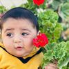 mohamadmohamad626