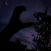mammoonaibrar786