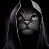 userqbesnk66c6