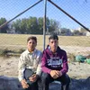 e_4ql