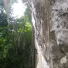 uunnurdiyanto