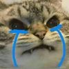 a.m20.11