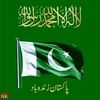 user68219131