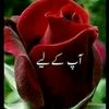 khalid  Dawoodi