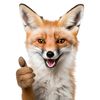 bfox789