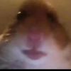 ceoconfirmed