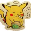 pokeplug2