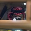 bo__hamd