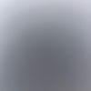 1426615271n
