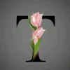 agent_tro