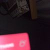 bella_sanch03