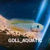 goll_aquatic