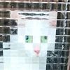 kopicat_uwu