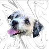 cooperthedog1209