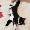 tracymcuk
