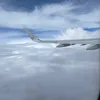 sh....m.3