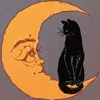 kitt.kat.k0.10
