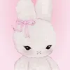 puccaat
