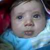 alaaewais5