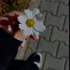 najjoda22.com