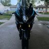 american_night_rider