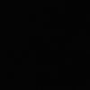 p88888830