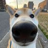 user_namichs_123