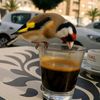 abderrahmane.mspb