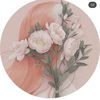 user178096009