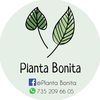 plantabonitamx