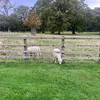cotswolds_gal