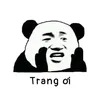 dianhong02