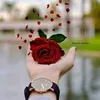 hh_msat