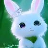 tanvir_01_02_03