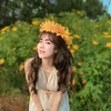 thanhhoapham19