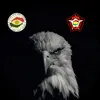 ﮼عمر