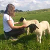 lari_1106