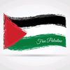 hesham.mohsen11