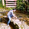 thethemitpurwanto