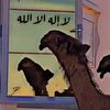mamdouh6140