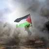 mouhammadzoo