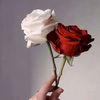 eitr_alward2