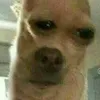 whatsupmylennial