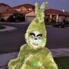 tiktok_knockknock