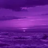 lajeceley8