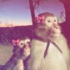 angels_share022