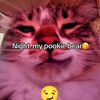 theasianguy118