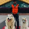 duy963114431